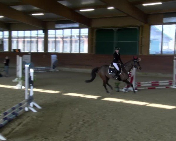 Reitturnier Coesfeld / Lette 2025