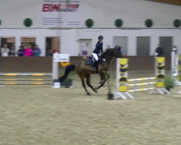 Reitturnier Coesfeld / Lette 2025