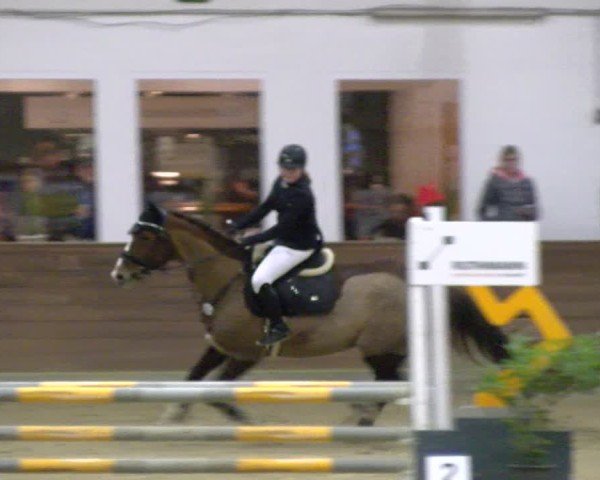 Reitturnier Coesfeld / Lette 2025