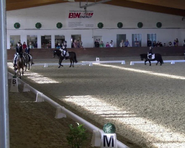 Reitturnier Coesfeld / Lette 2025