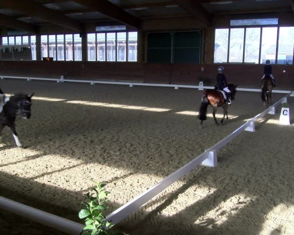 Reitturnier Coesfeld / Lette 2025
