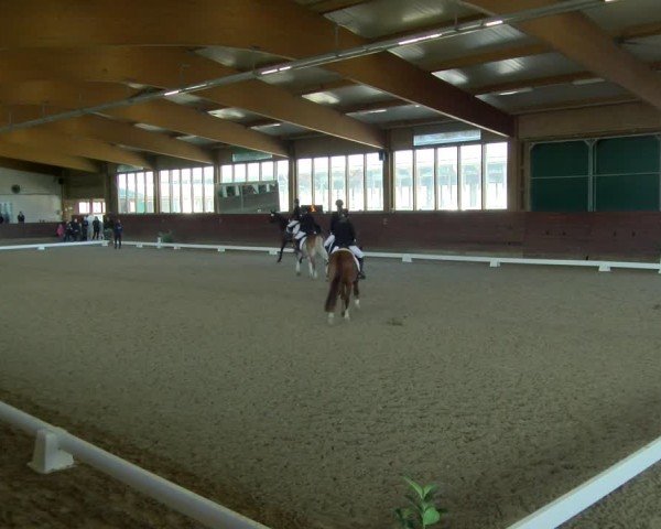 Reitturnier Coesfeld / Lette 2025
