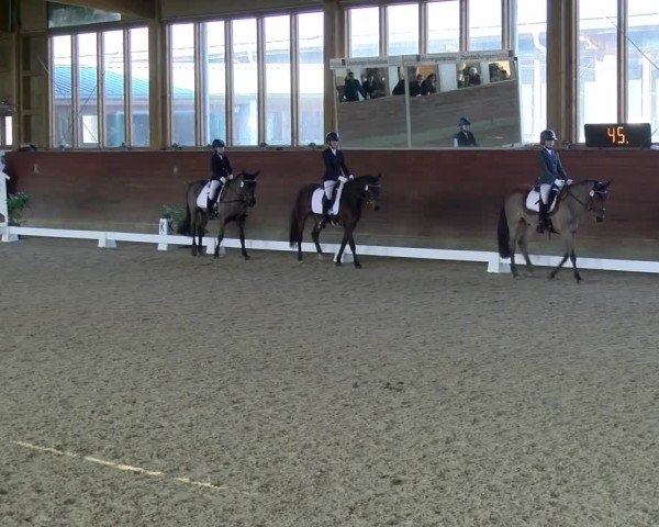 Reitturnier Coesfeld / Lette 2025