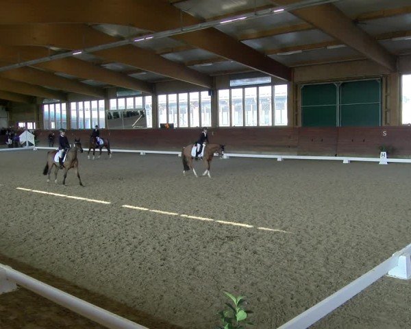Reitturnier Coesfeld / Lette 2025