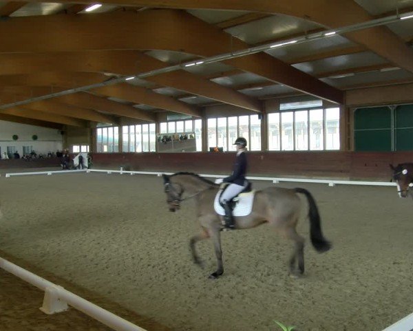 Reitturnier Coesfeld / Lette 2025