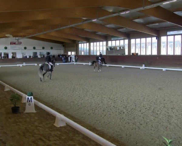 Reitturnier Coesfeld / Lette 2025