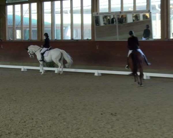 Reitturnier Coesfeld / Lette 2025