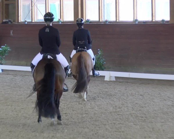 Reitturnier Coesfeld / Lette 2025