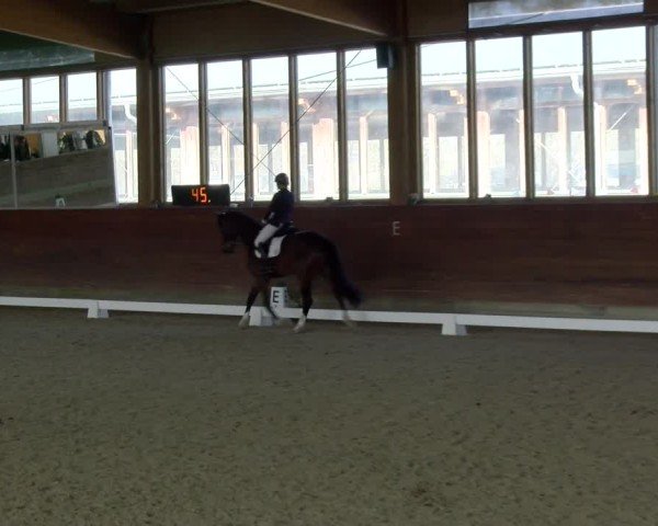 Reitturnier Coesfeld / Lette 2025