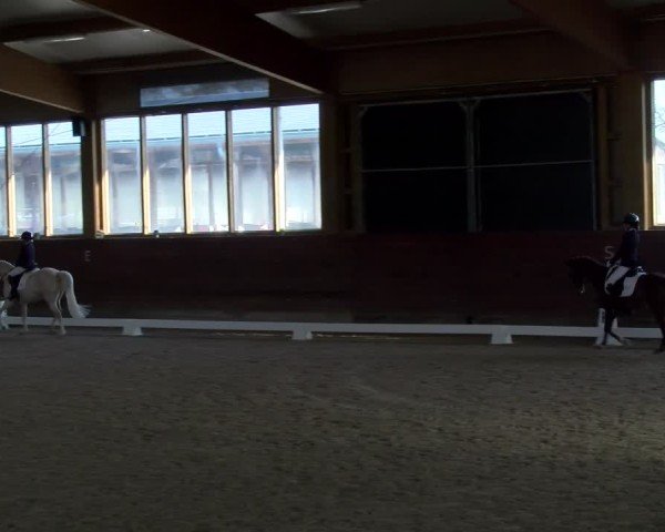 Reitturnier Coesfeld / Lette 2025