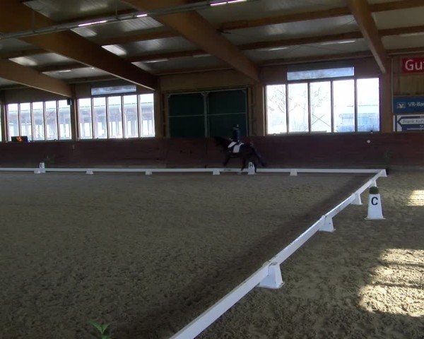 Reitturnier Coesfeld / Lette 2025