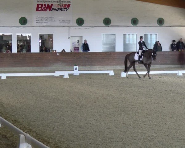 Reitturnier Coesfeld / Lette 2025