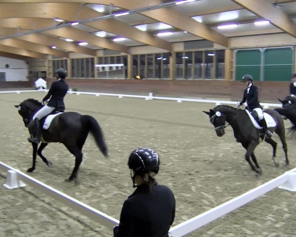 Reitturnier Coesfeld / Lette 2025