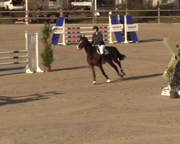 Reitturnier Scharnebeck 2025
