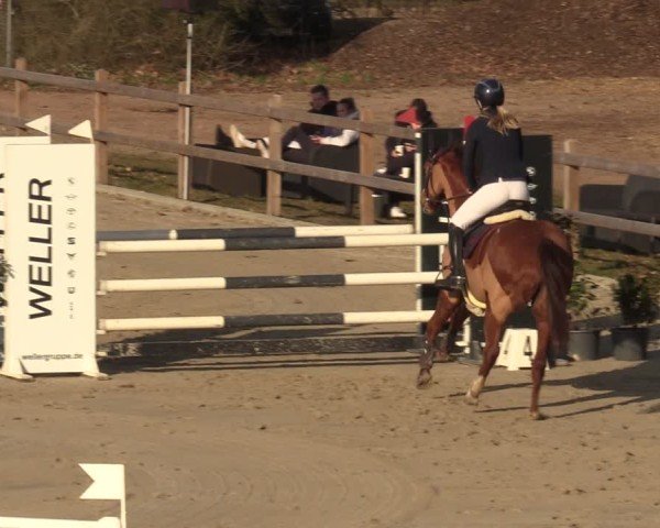 Reitturnier Scharnebeck 2025