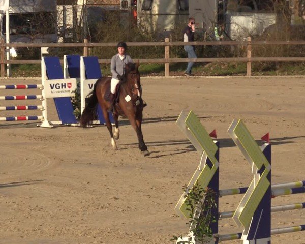 Reitturnier Scharnebeck 2025