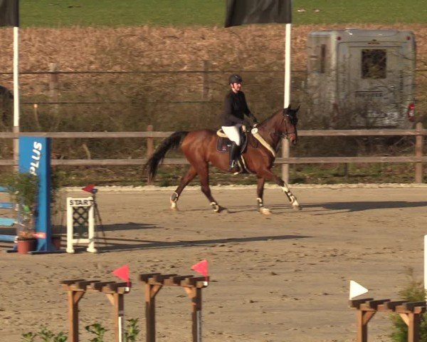 Reitturnier Scharnebeck 2025