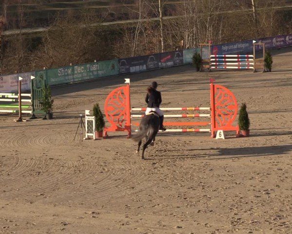 Reitturnier Scharnebeck 2025