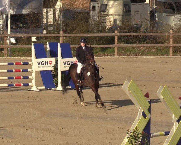 Reitturnier Scharnebeck 2025