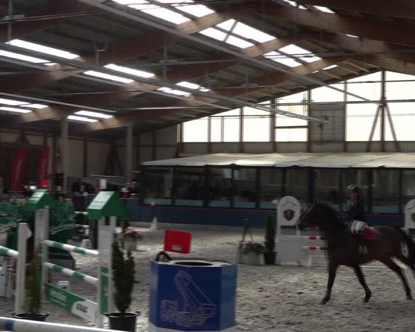 Reitturnier Oberriet 2025