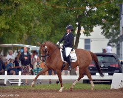 dressage horse Famous Face (Württemberger, 2010, from Farewell III)