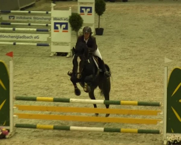 Springturnier auf dem Abtshof 2013