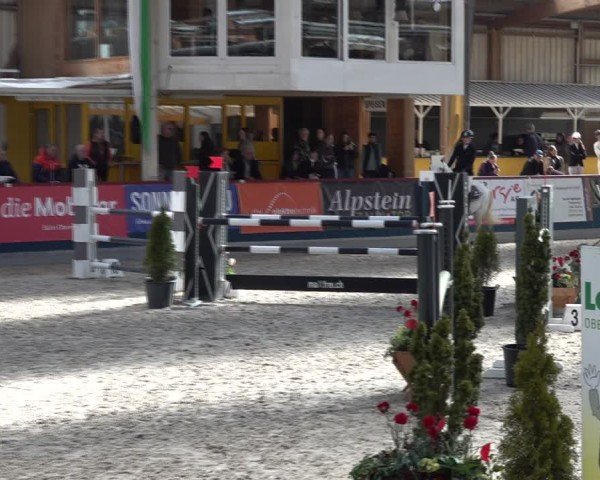 Reitturnier Oberriet 2025