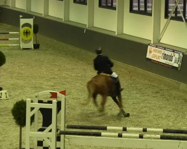 Springturnier auf dem Abtshof 2013