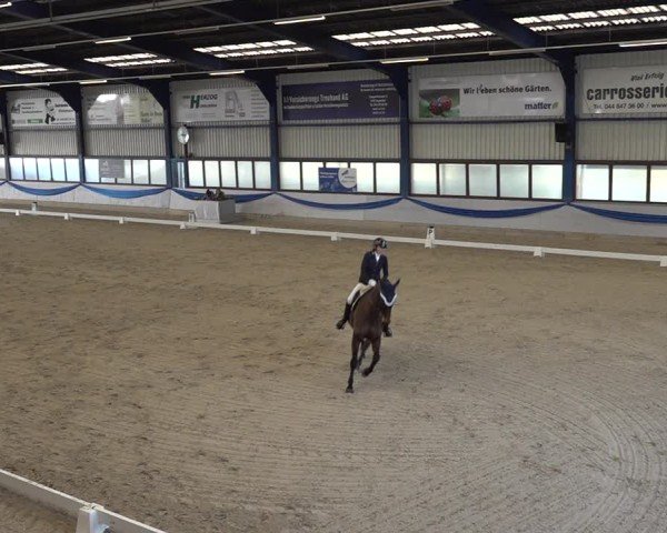 Reitturnier Buchs ZH 2025