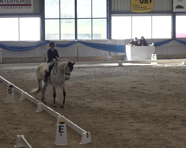 Reitturnier Buchs ZH 2025