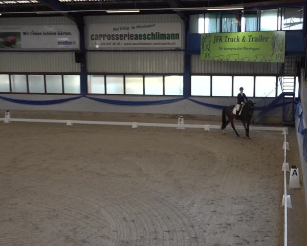 Reitturnier Buchs ZH 2025