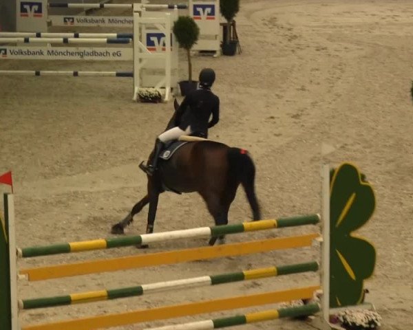 Springturnier auf dem Abtshof 2013