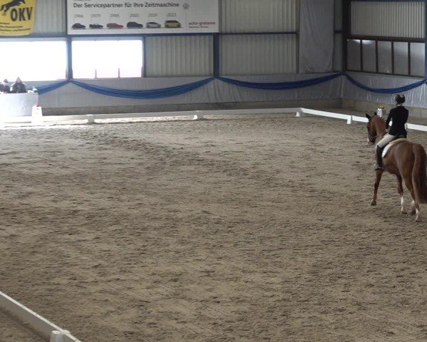 Reitturnier Buchs ZH 2025