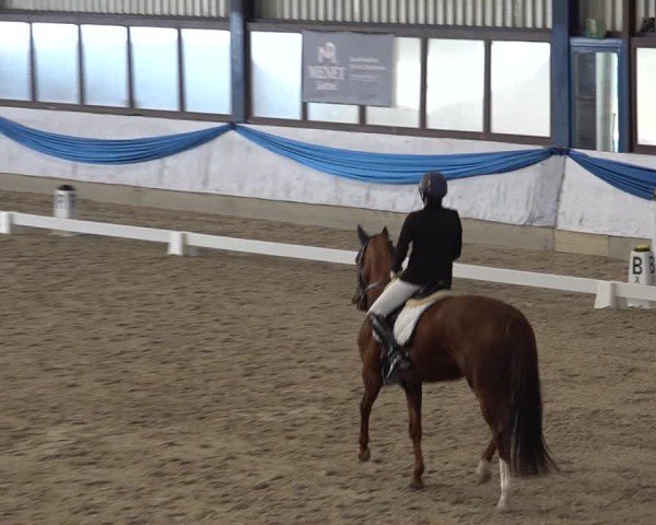 Reitturnier Buchs ZH 2025