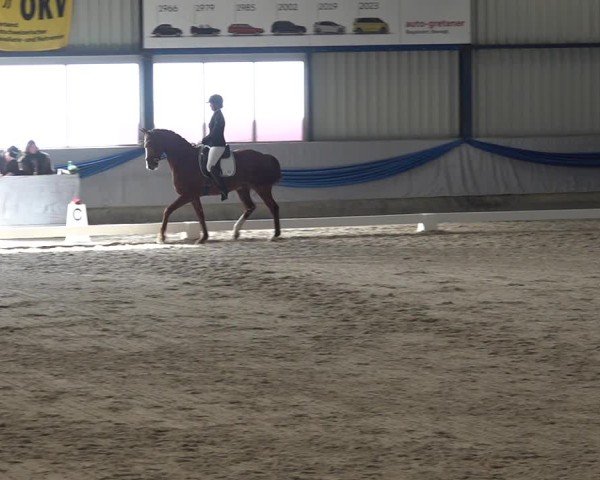 Reitturnier Buchs ZH 2025