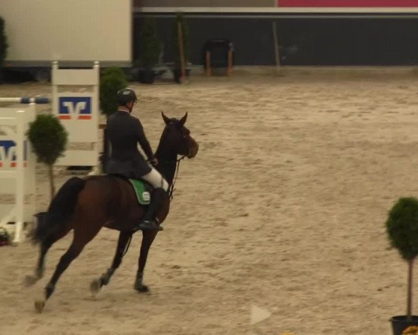 Springturnier auf dem Abtshof 2013