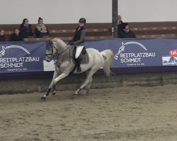 Reitturnier Vlotho-Exter 2025