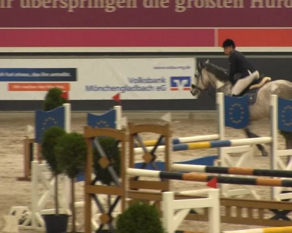 Springturnier auf dem Abtshof 2013