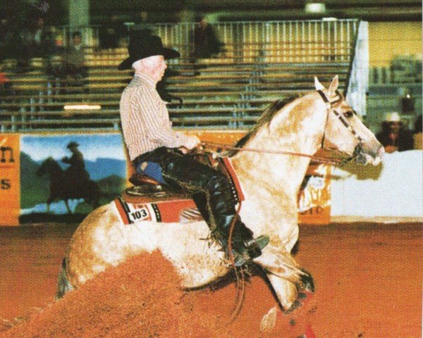stallion Creme de Coco Bueno (Quarter Horse, 1986, from Cee Bee Command) stallion Creme de Coco Bueno (Quarter Horse, 1986, from Cee Bee Command)