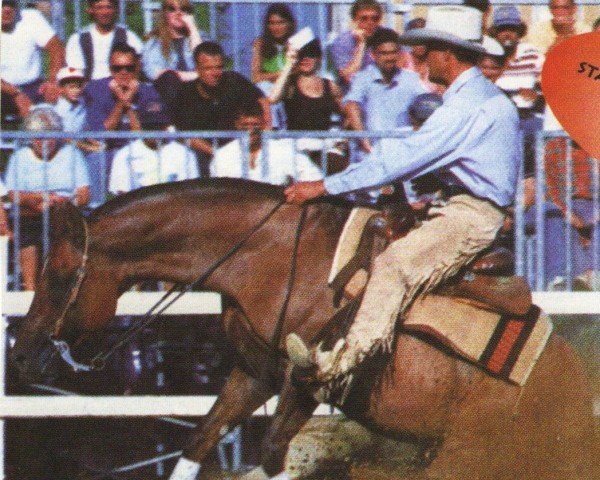 stallion Bars Jacson Bo (Quarter Horse, 1992, from Hollywood Jac 86)