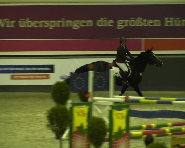 Springturnier auf dem Abtshof 2013