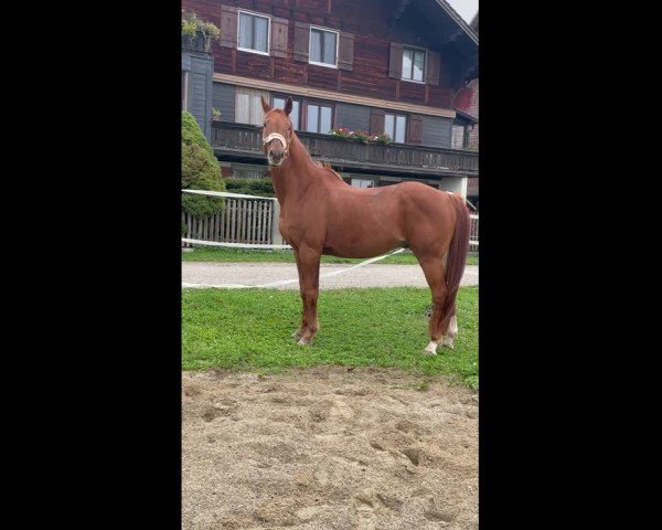 Video of Quinton C
