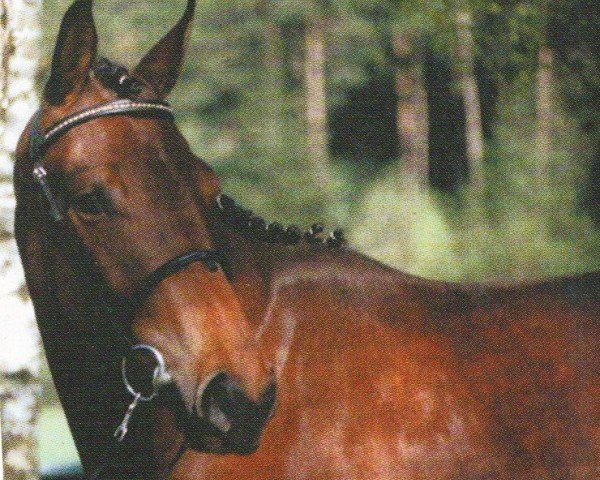 broodmare Wienna (Bavarian, 1996, from Fighting Alpha)