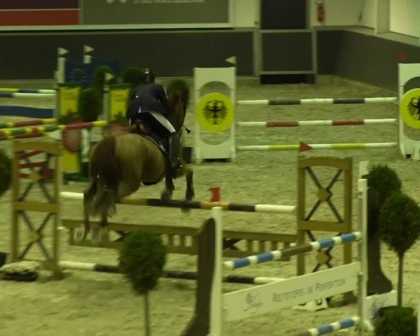 Springturnier auf dem Abtshof 2013