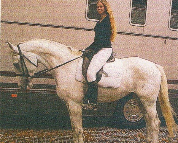 horse Acido 2 (Hanoverian, 1996, from Athletico)