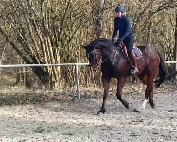 Video von Labella Luna