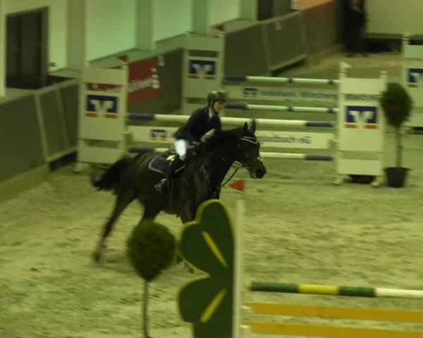 Reitturnier Mönchengladbach-Abtshof 2013
