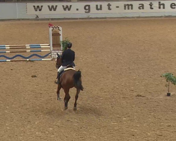 Reitturnier Kreuth 2025