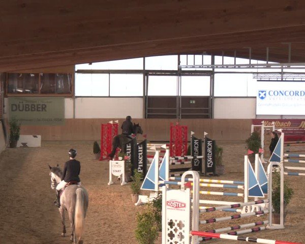 Reitturnier Westbarthausen 2025
