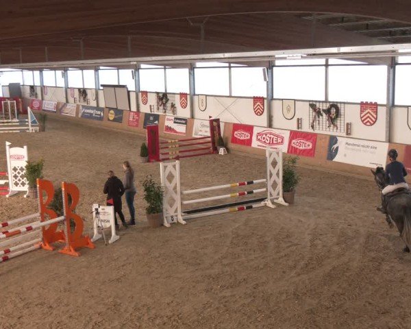 Reitturnier Westbarthausen 2025